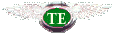 TE.GIF (2620 byte)